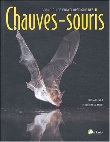 CHAUVES-SOURIS